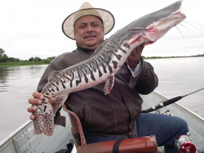 Pousada Curupira Albuquerque (Mato Grosso do Sul) Bagian luar foto